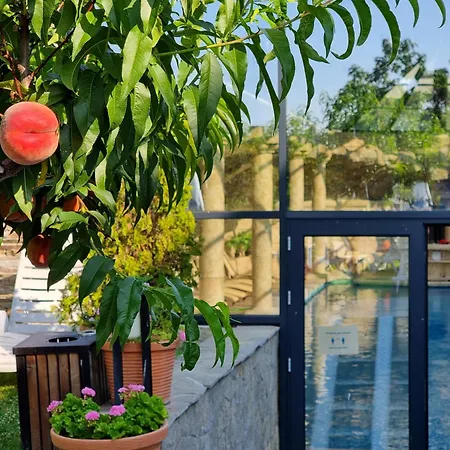 Wine & Spa Complex Starosel-3