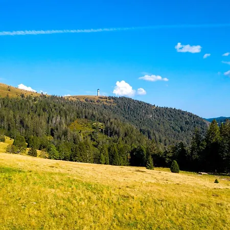 Berggasthof zur Todtnauer Hütte-3