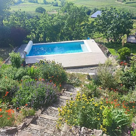Au pied du Figuier-3