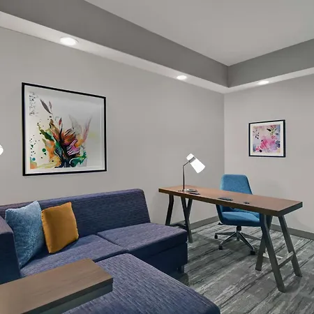 Hilton Garden Inn Houston Medical Center, Tx-2
