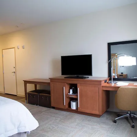 Hampton Inn And Suites By Hilton Mckinney-2