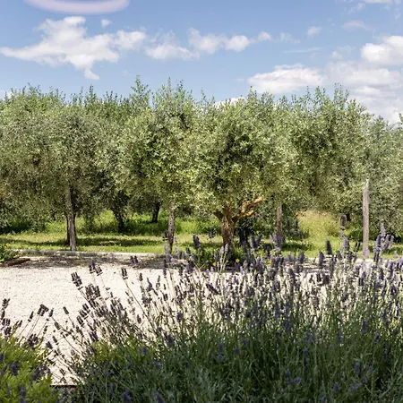 TENUTA FOGLIANI Resort&Natural Spa-3