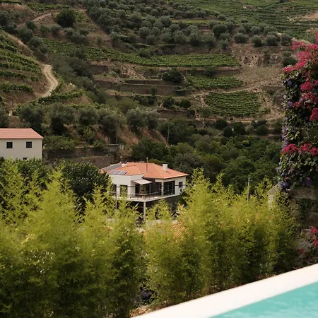 Quinta Da Travessa - Douro-2