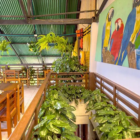 Eco Hotel El Refugio Boutique-3