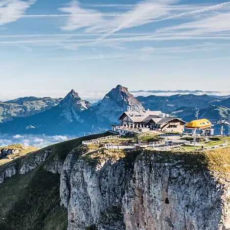 Fronalpstock Hotel & Restaurant-2
