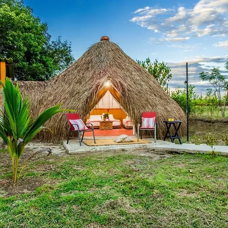 Mangoo Glamping-2