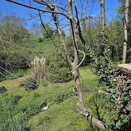 Le moulin de Meslon-2