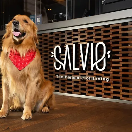 Salvio Parque 93 Bogota, Curio Collection By Hilton-3