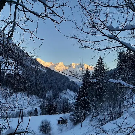 Hotel Buckelhof - See - Free Liftpass Summer-2