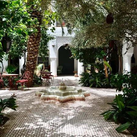 Riad Ifoulki-3