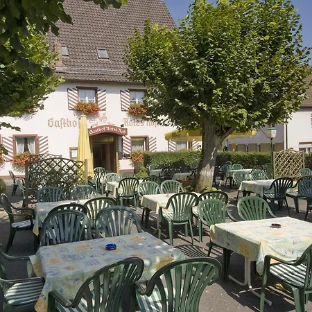 Hotel-Gasthof Rotes Roß-2