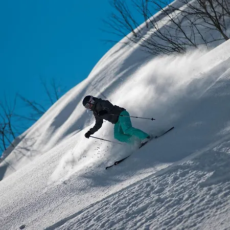 Alpenresort Fluchthorn-3
