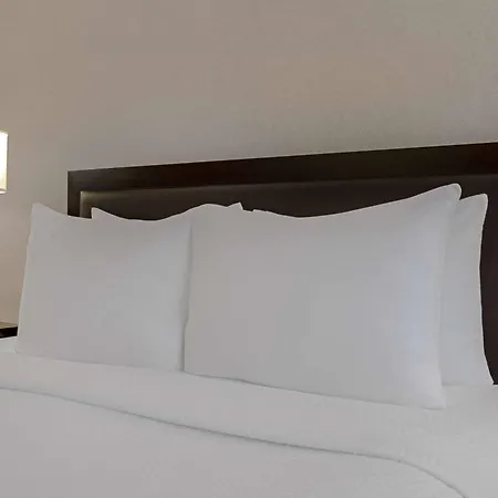Ramada Plaza By Wyndham Calgary Downtown-2