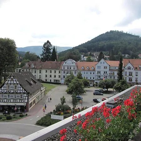 Hotel Harzer am Kurpark-3
