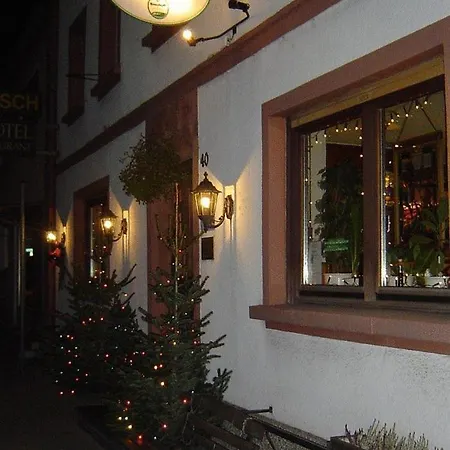 Hotel & Restaurant Raisch-2