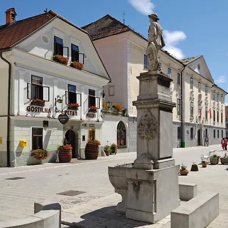 Pension Lectar-2