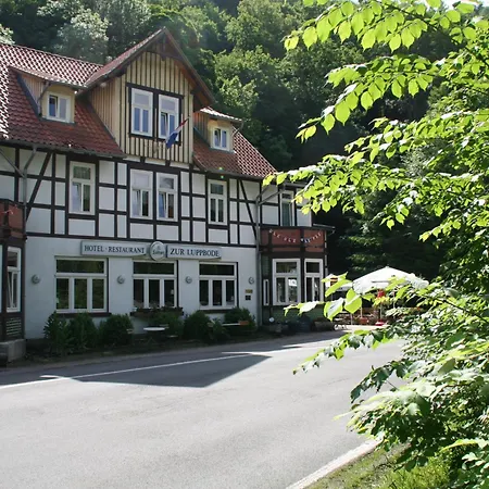 Hotel Zur Luppbode-3