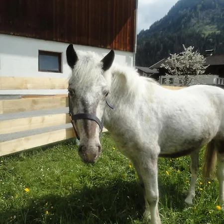 Hotel Roslehen-3
