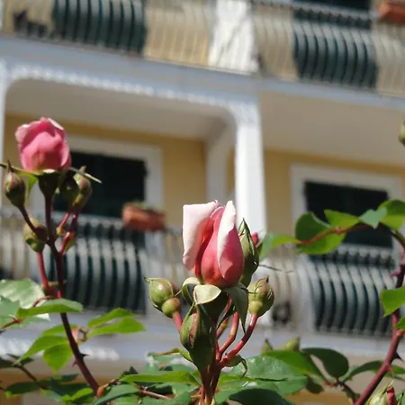 Hotel Miranda-3