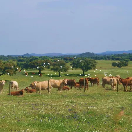 Agro-Turismo Monte Da Galega-2