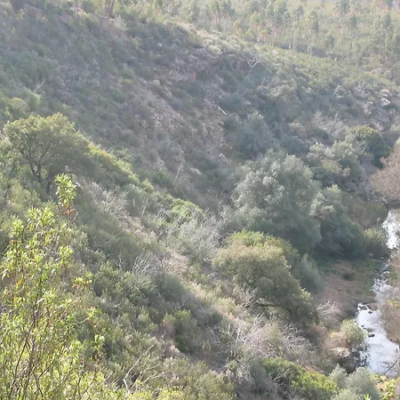 Herdade Do Rio Torto-3