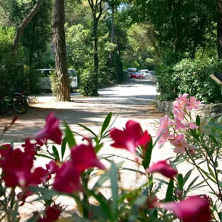 Camping Casa Di Caccia-3