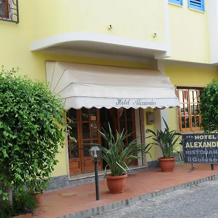 Hotel Alexander-2