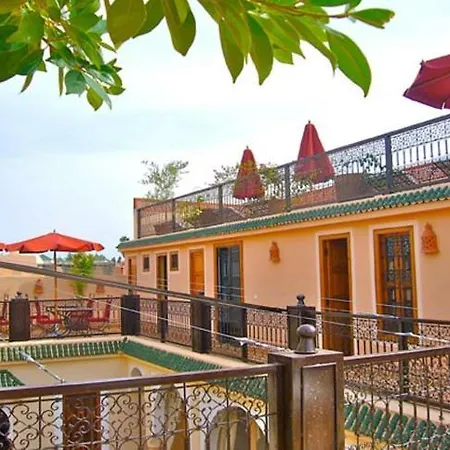 Riad Rabahsadia-3