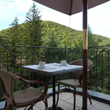 Hotel Restaurant Spa Le Sauvage-2