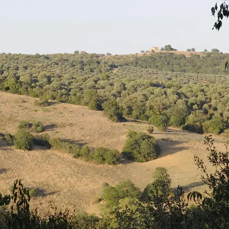Le Tartarughe Rooms-2