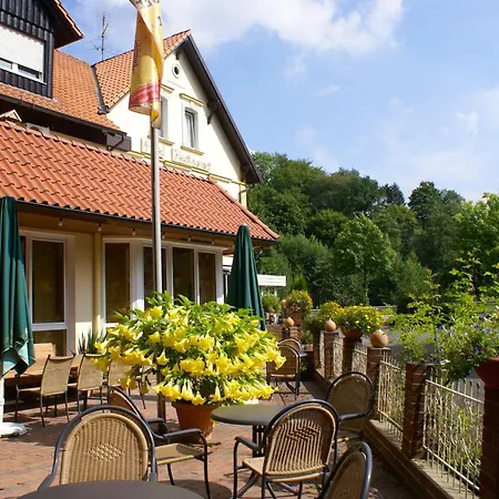 Hotel Elfenberg-3