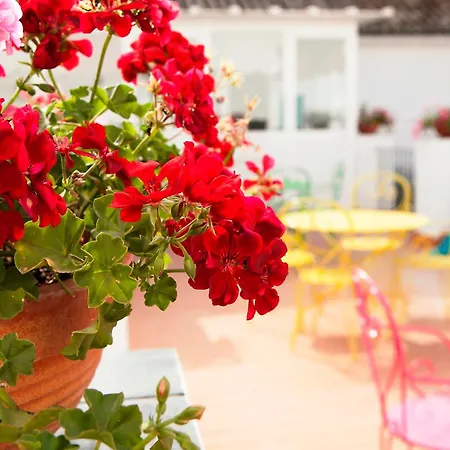 Casual De Las Letras Sevilla By Casual Hoteles-3