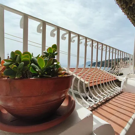 B&B Ventura-3