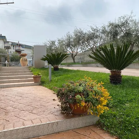 Miro' Agropoli-3