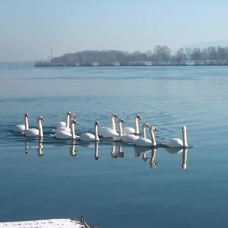 Donau-Rad-Hotel Wachauerhof-2