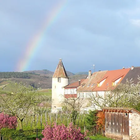 Hotel Munsch Restaurant&Wellness, Colmar Nord - Haut-Koenigsbourg-3