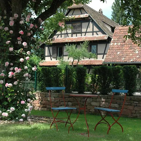 Hotel Restaurant De L'Illwald-3