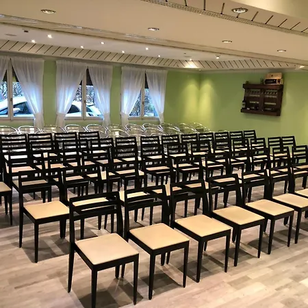 Hotel Alpha Thun-2