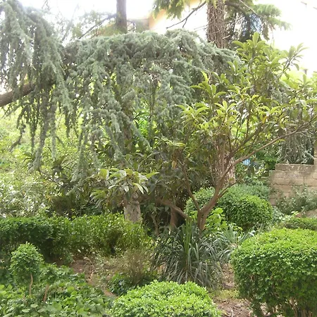 Villa Genny-2