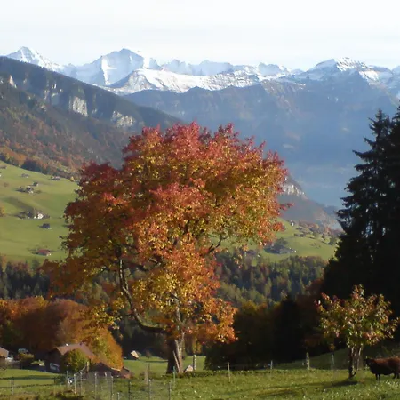 Hotel Rothorn Vintage-Style-3