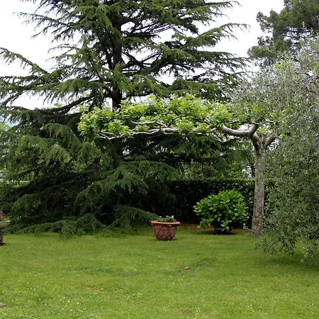 Hotel Il Buongustaio-3