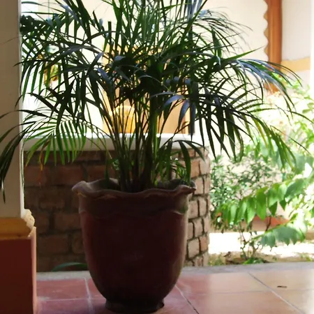 Hotel Casa Barcelona-3