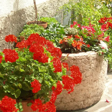 Albergo Centrale-3
