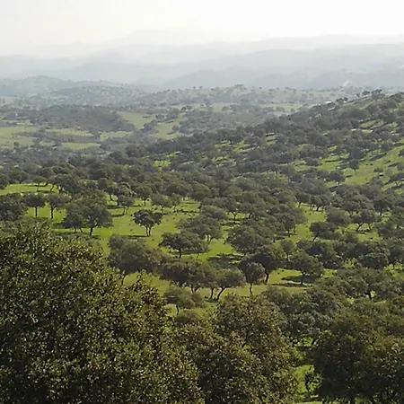 El Añadío-2