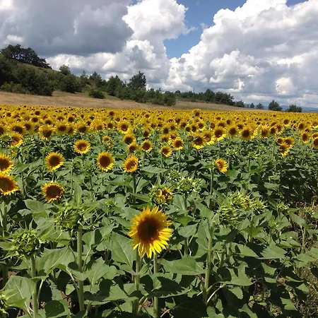 Le Petit Caboulot En Pleine Nature-3