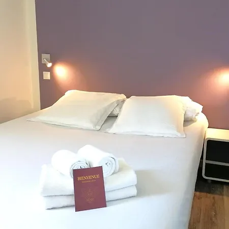 Hôtel Némo - Aéroport de Pau-2