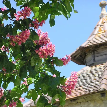 Domaine de L'Isle Basse-3