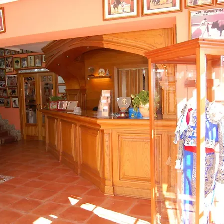 Hotel Flor de la Mancha-3