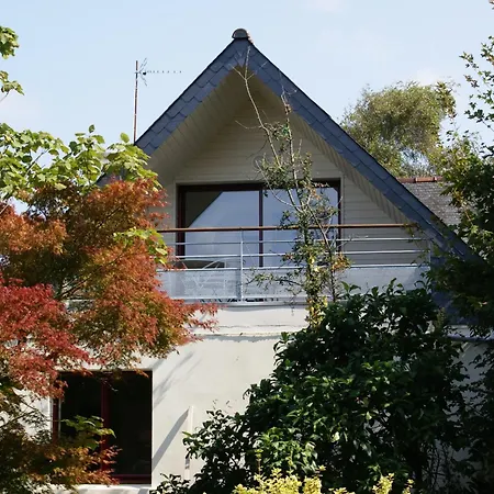 La Canopée des Pins-2