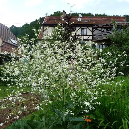 Alsace Village-3